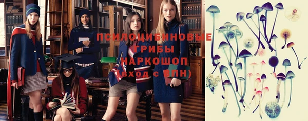 мет Чегем